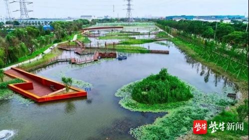 2100萬(wàn)省級(jí)獎(jiǎng)勵(lì)！蘇州這片區(qū)域生態(tài)環(huán)境建設(shè)喜獲肯定，水污染治理成效顯著