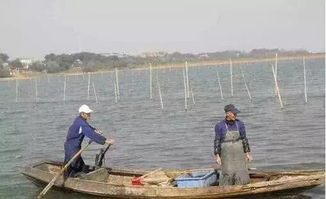 聚焦水韻江蘇 環(huán)保技術(shù)驅(qū)動(dòng)，多地水污染防治成效顯著