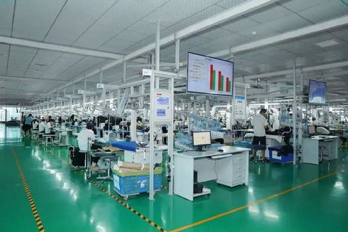 向 新 提 質 行在前端的紡織集群新質生產(chǎn)力